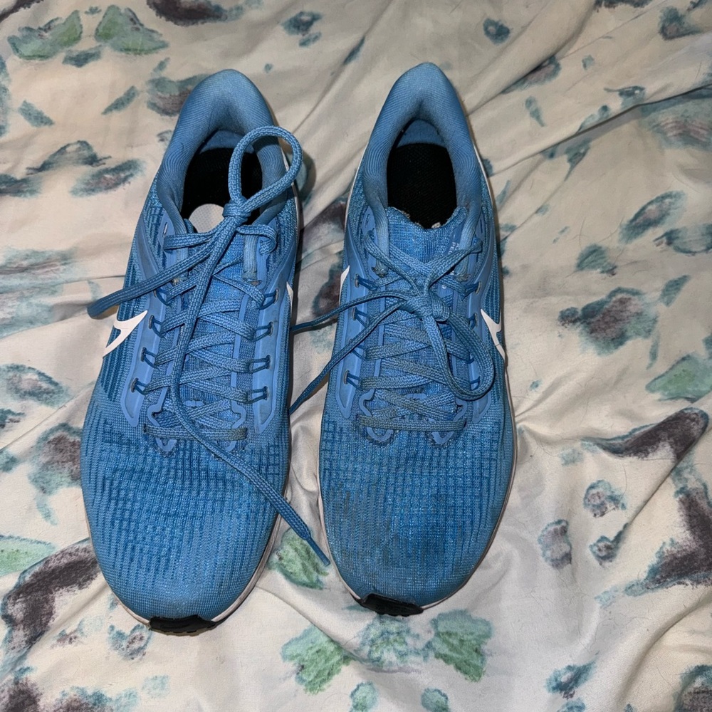 Nike Pegasus